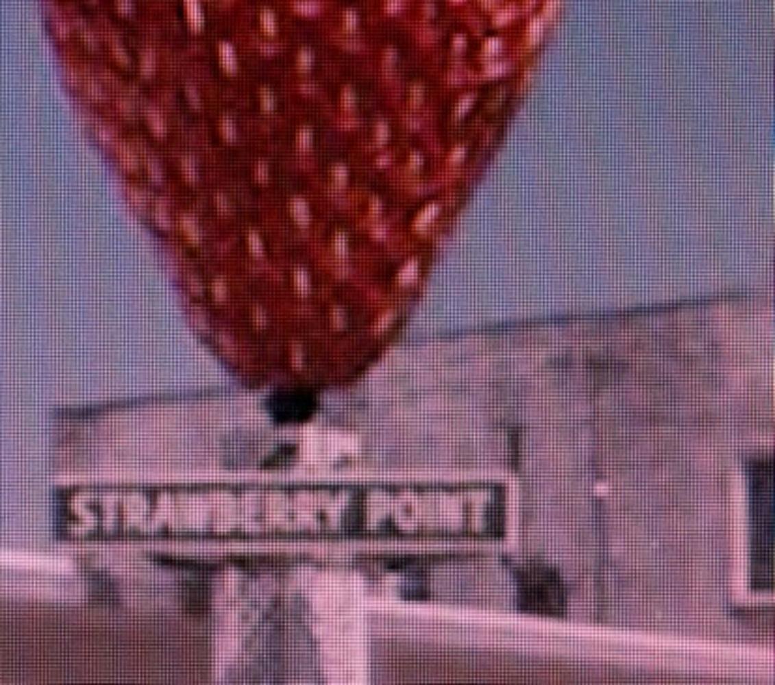 Street View: A Series of Unfortunate Events #16 – Michael Wolf, Strawberry, Art For Sale 3
