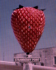 Street View: A Series of Unfortunate Events #16 – Michael Wolf, Strawberry, Art