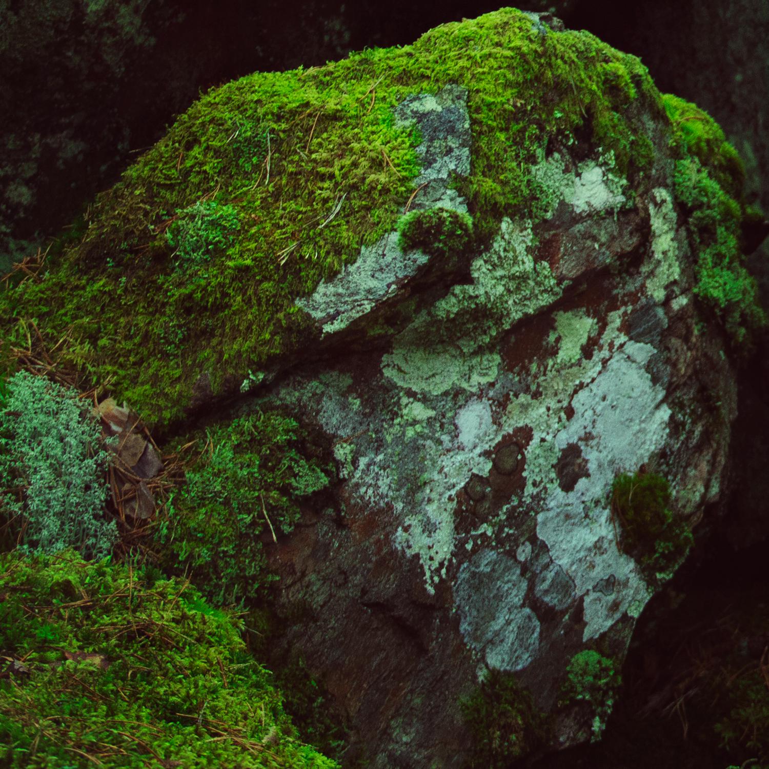 Adamantine. Color photography - Black Figurative Photograph by Michaela Haider