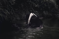 Paper Figurative Photography