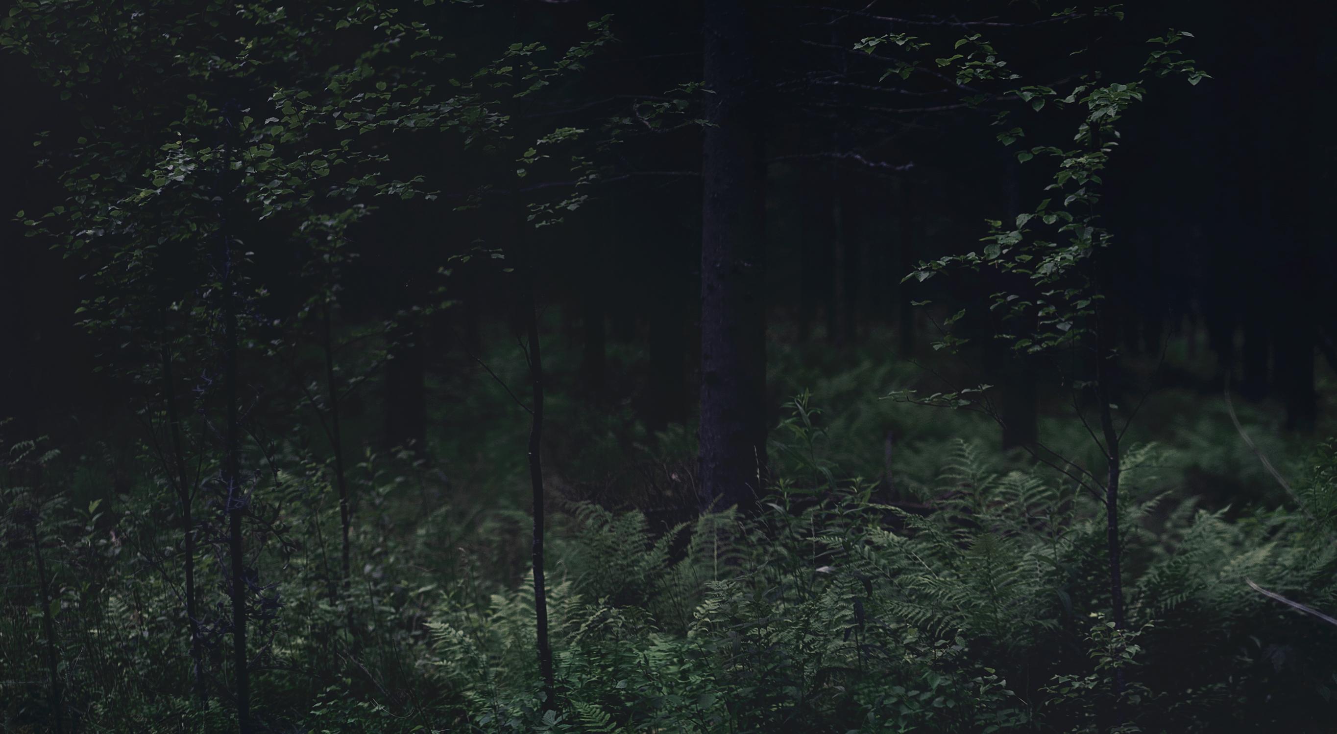 Aufgang oder Untergang. Color photography - Black Color Photograph by Michaela Haider