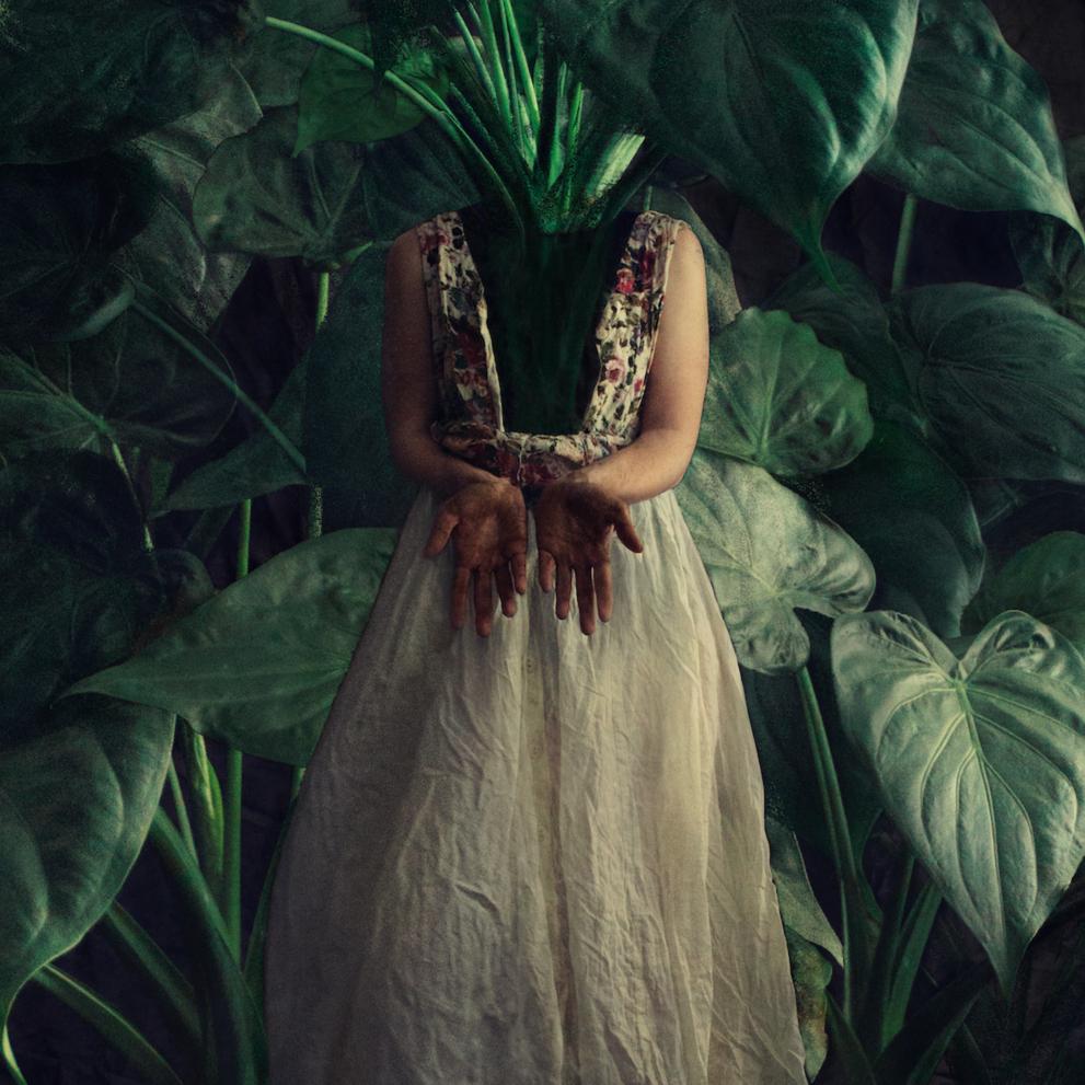 Can you help me grow?. Color photography - Photograph by Michaela Haider