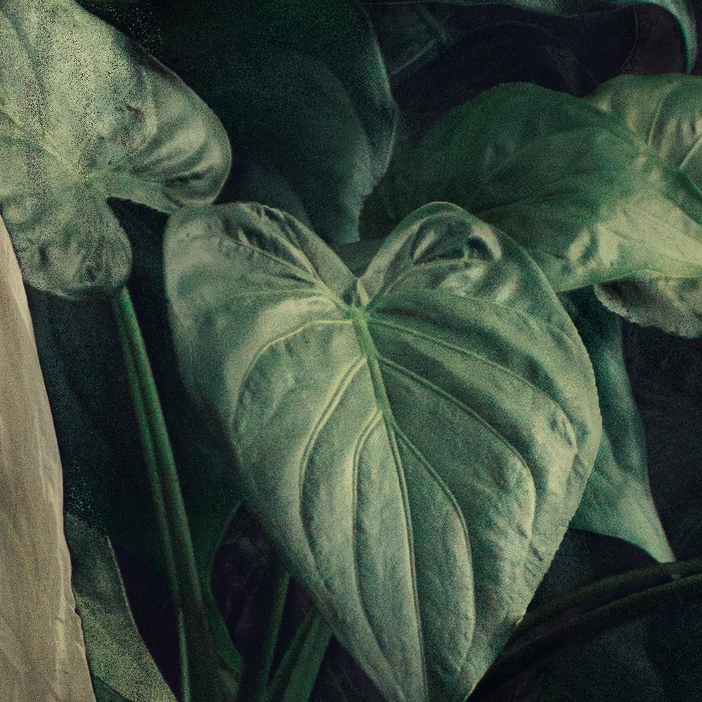 Can you help me grow?. Color photography - Contemporary Photograph by Michaela Haider