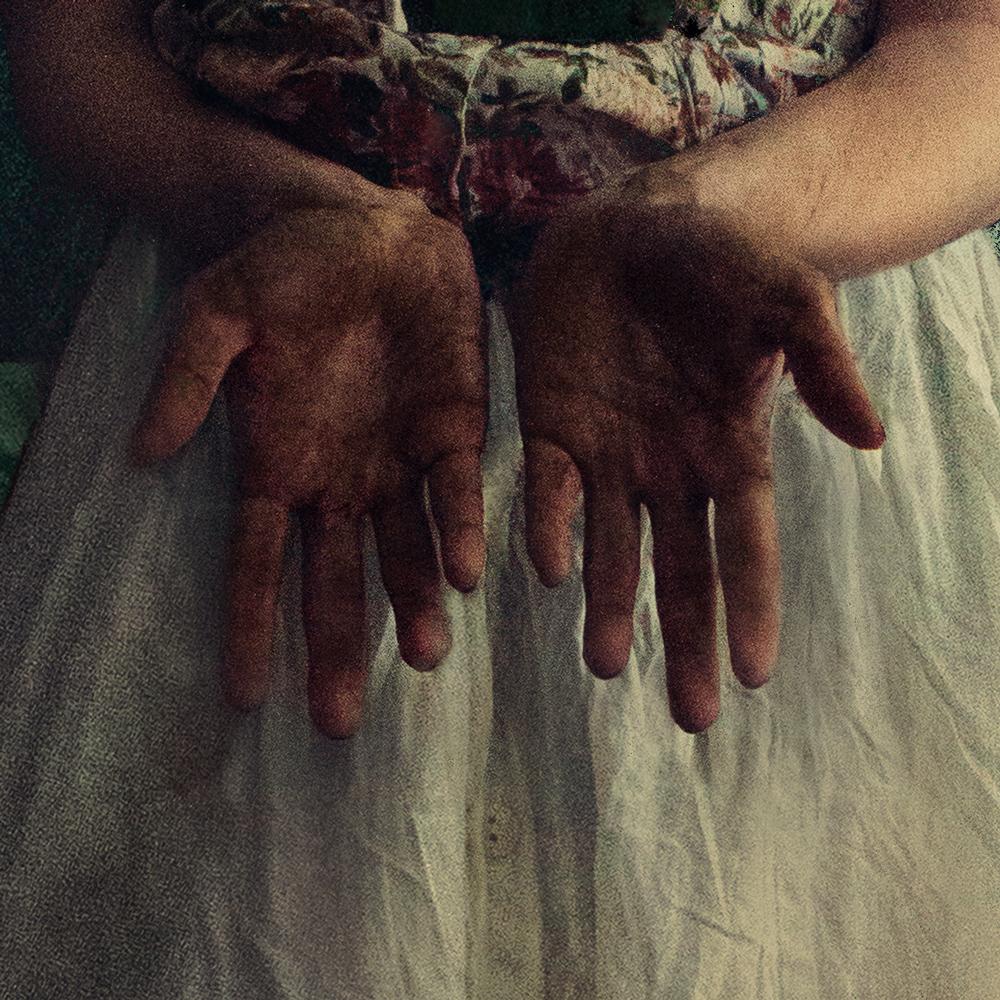 Can you help me grow?. Color photography - Black Color Photograph by Michaela Haider