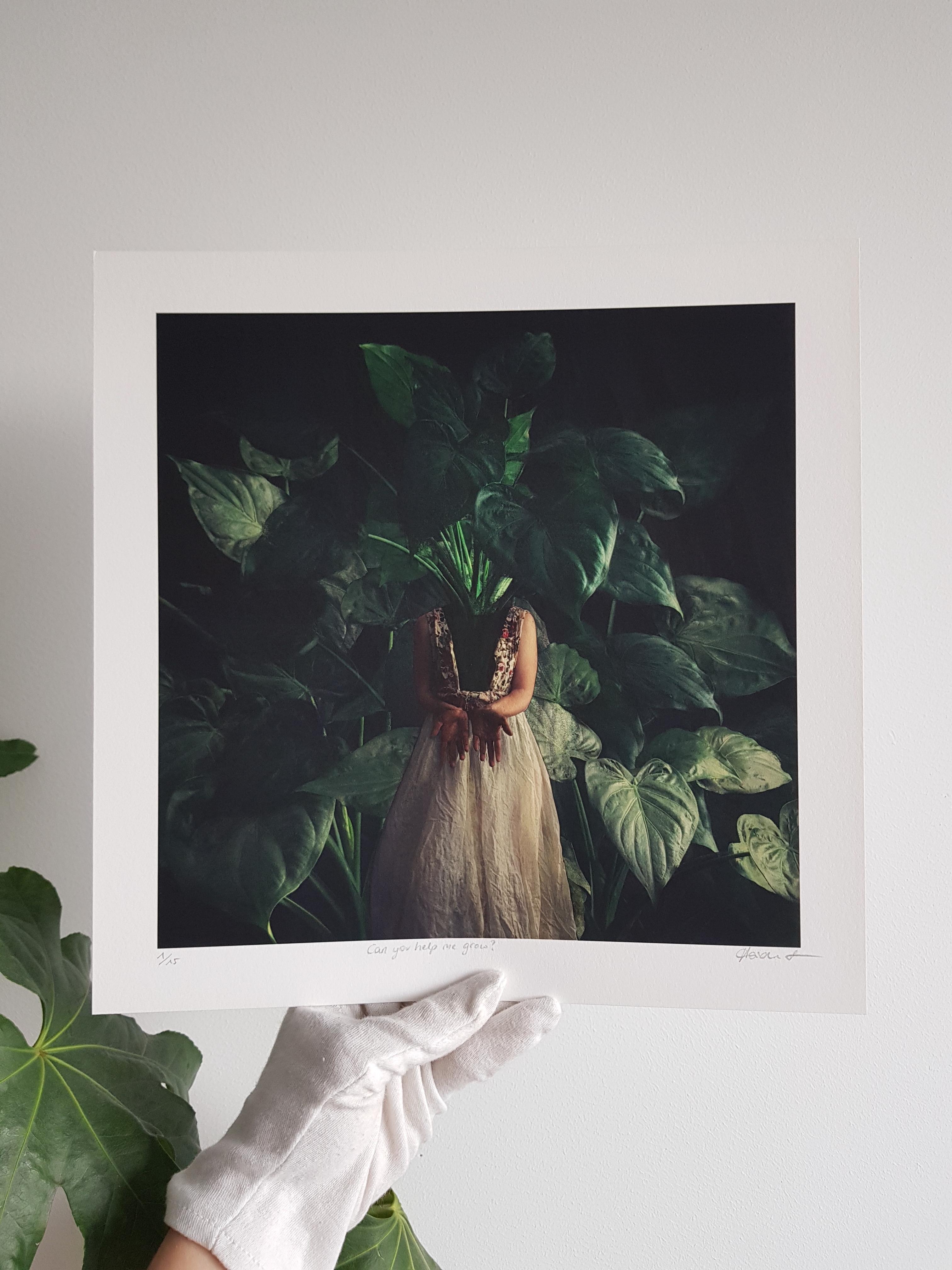 Can you help me grow?. Color photography For Sale 1