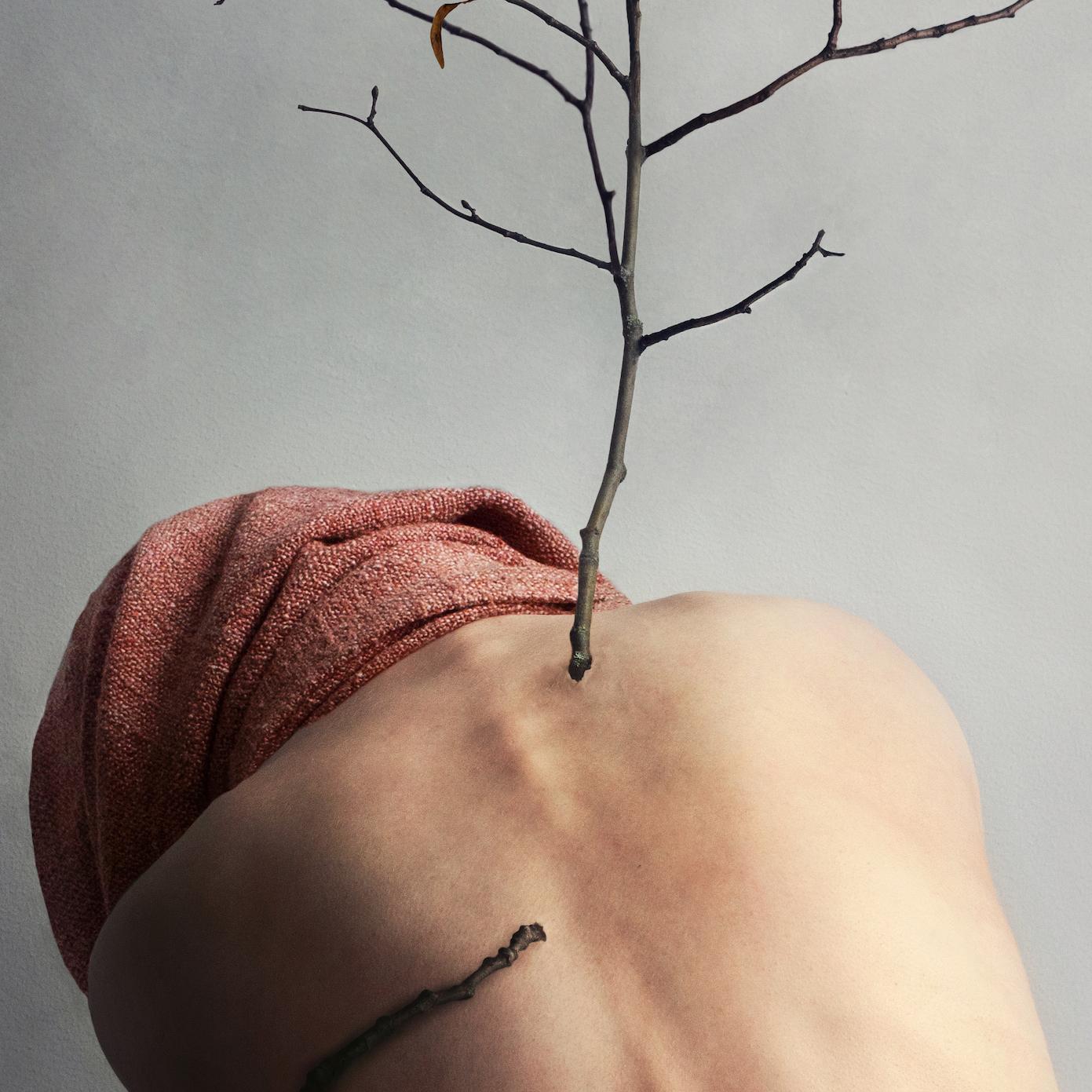 Change. Color photography - Photograph by Michaela Haider
