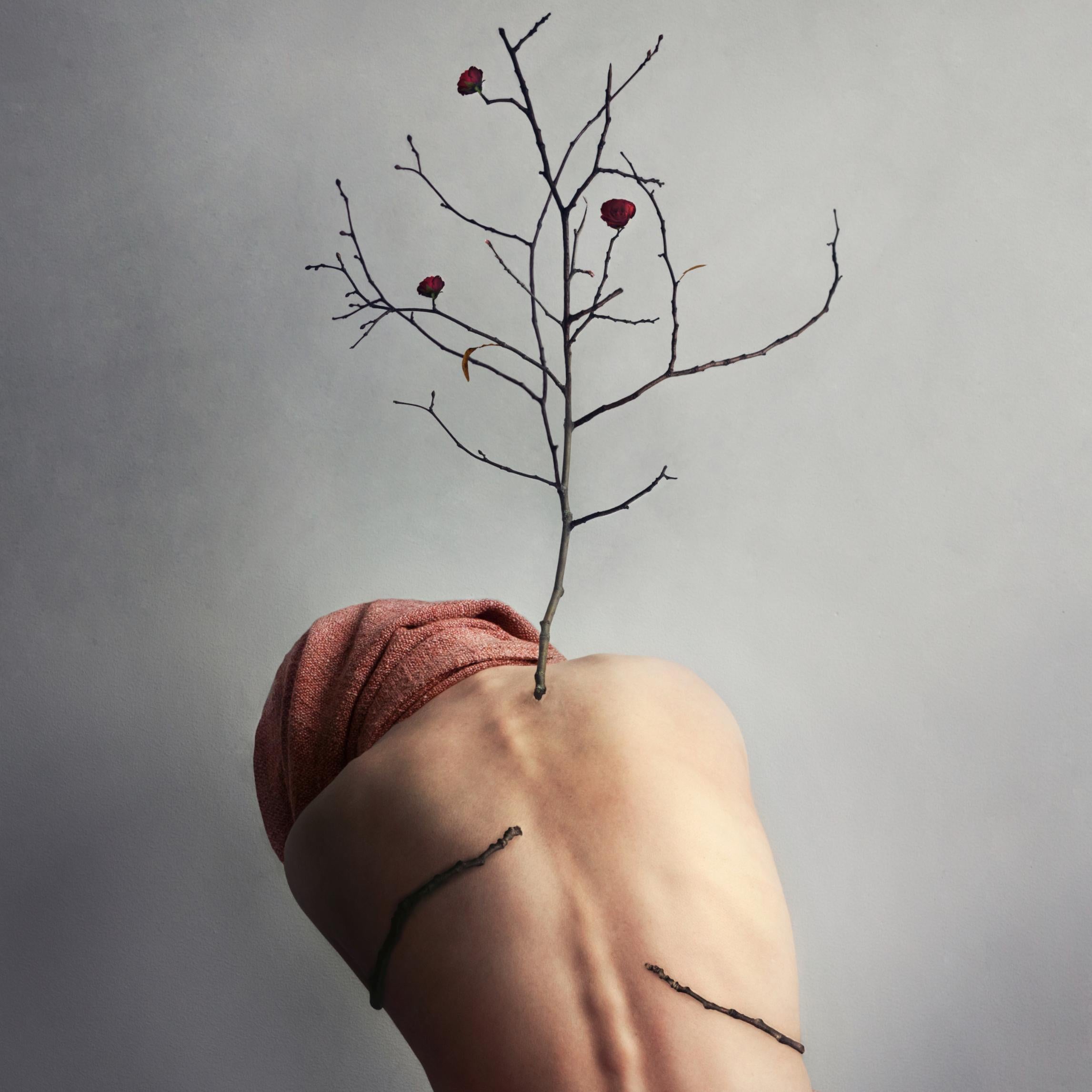 Change. Color photography - Gray Figurative Photograph by Michaela Haider