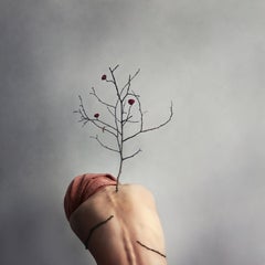 Changement, transformation et métamorphose. Photographie couleur