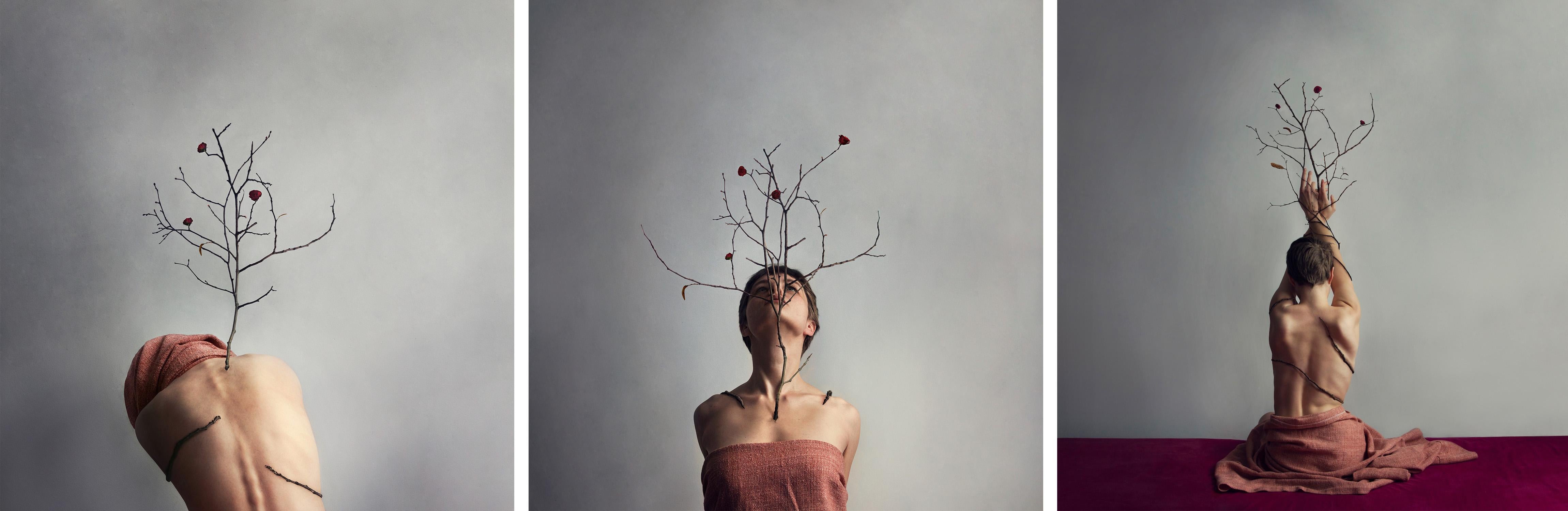 Change, Transformation and Metamorphosis. Color photography