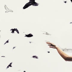 Expansion. Photographie figurative