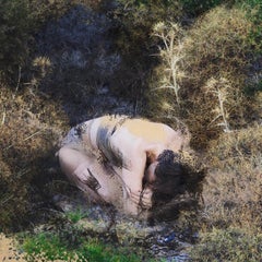 Vertraut. Farbfotografie