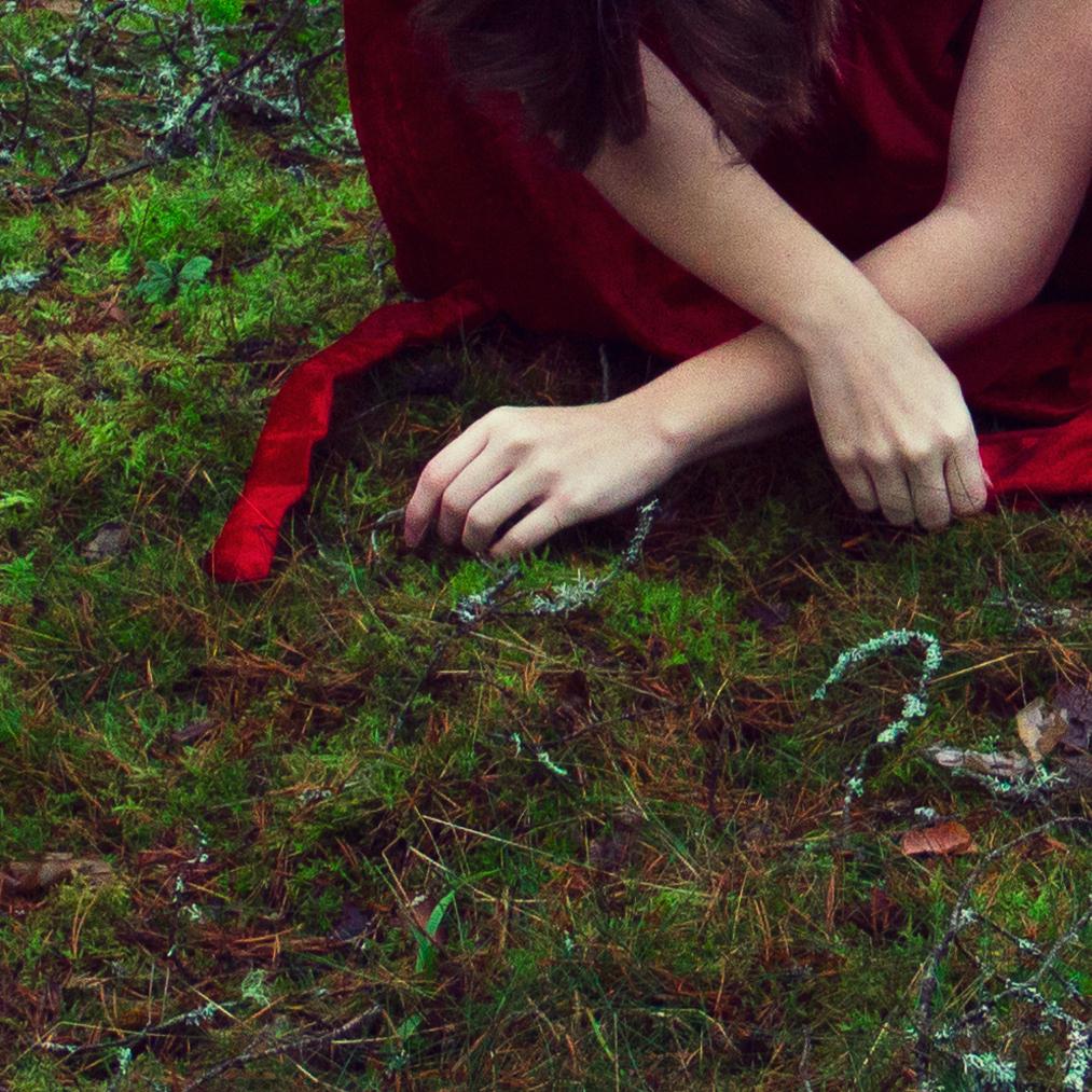 Fluid Colour. Color photography - Photograph by Michaela Haider