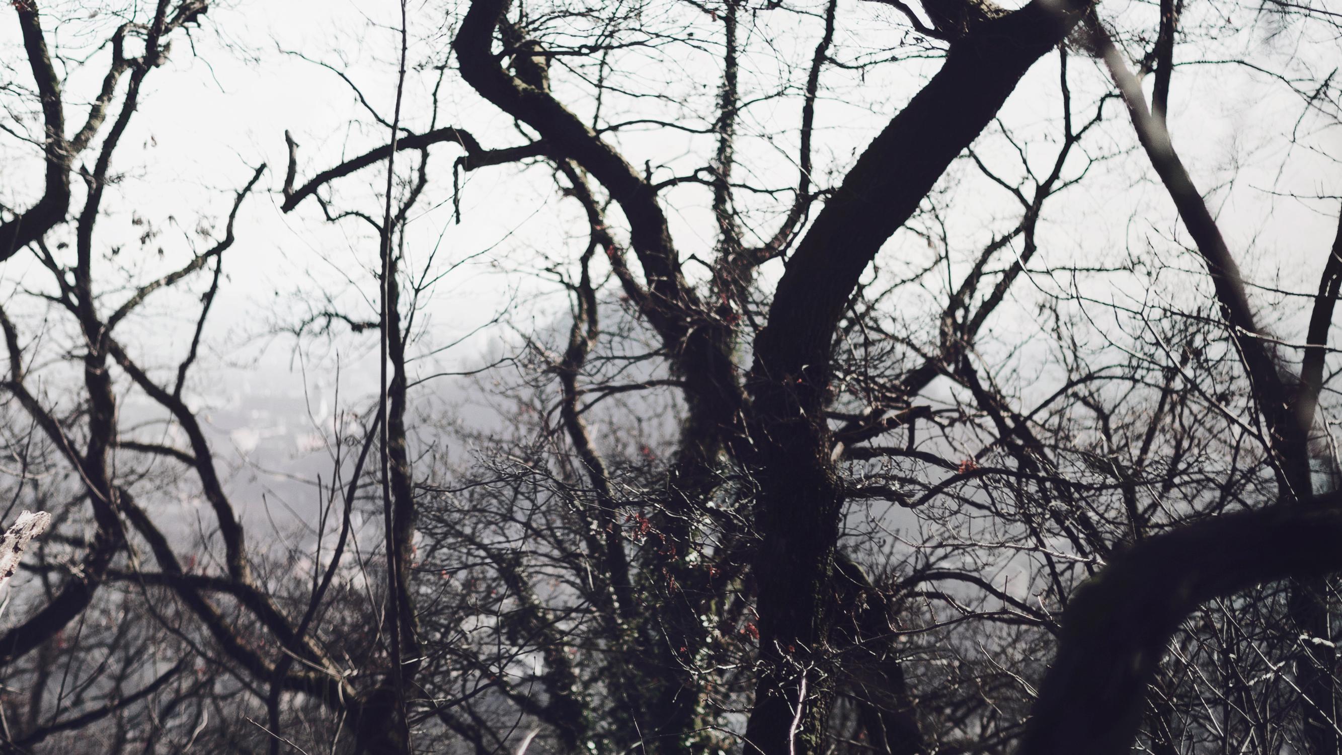 Lest all of this may never be. Color photography - Contemporary Photograph by Michaela Haider