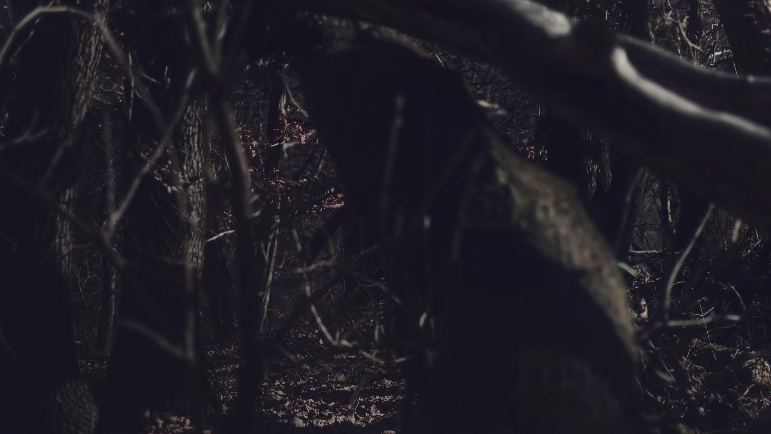 Lest all of this may never be. Color photography - Black Color Photograph by Michaela Haider