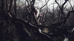 Landscape Photography