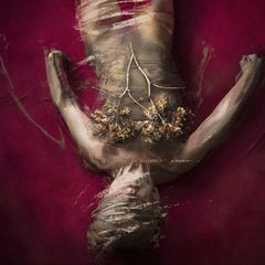 Polmoni e piccole offerte. Fotografia a colori