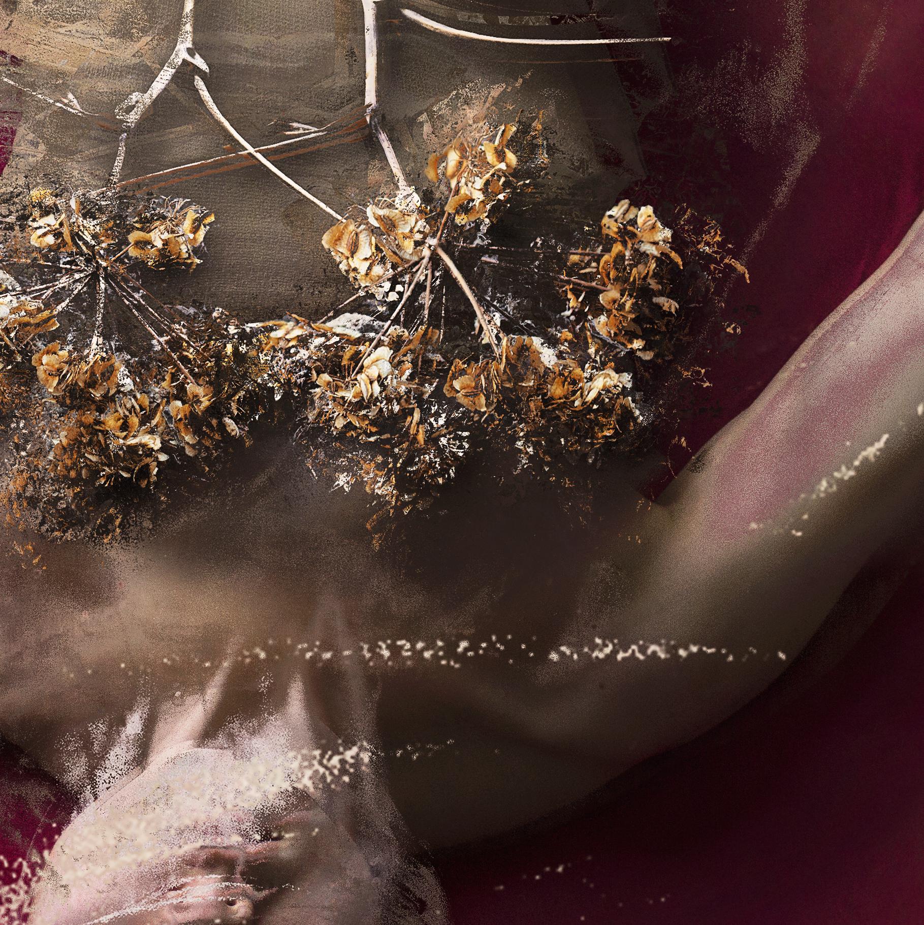 Polmoni. Dalla serie Farbtöne - Photograph di Michaela Haider