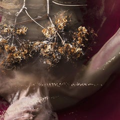 Lungs. From Farbtöne Series