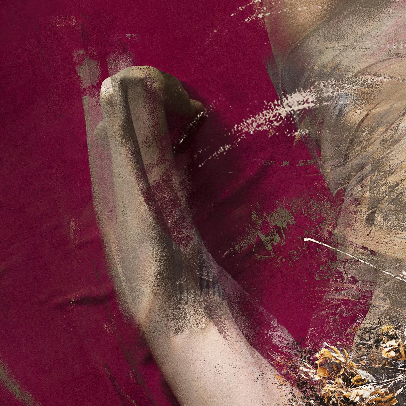 Polmoni. Dalla serie Farbtöne - Photograph Contemporaneo di Michaela Haider