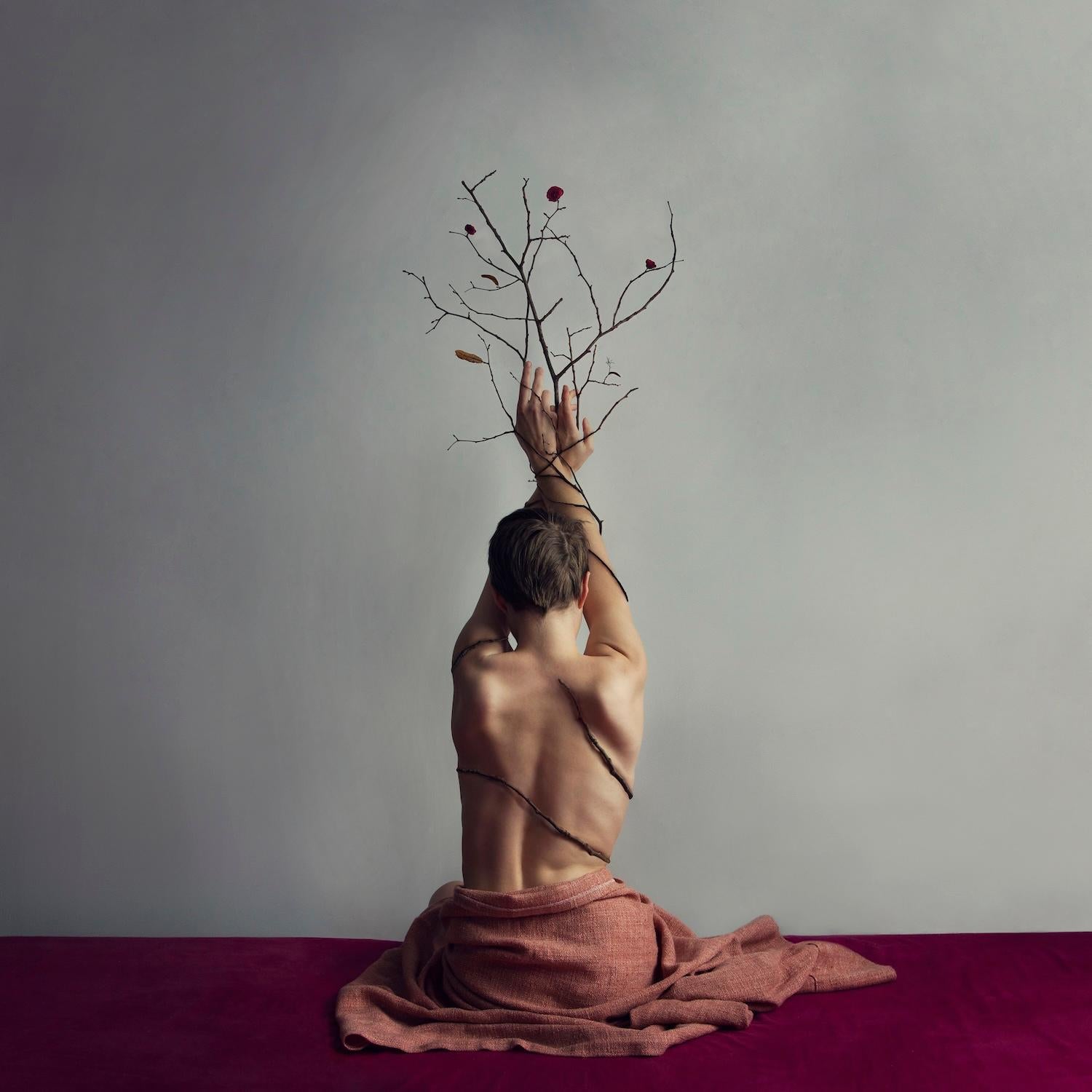 Metamorphosis. Color photography