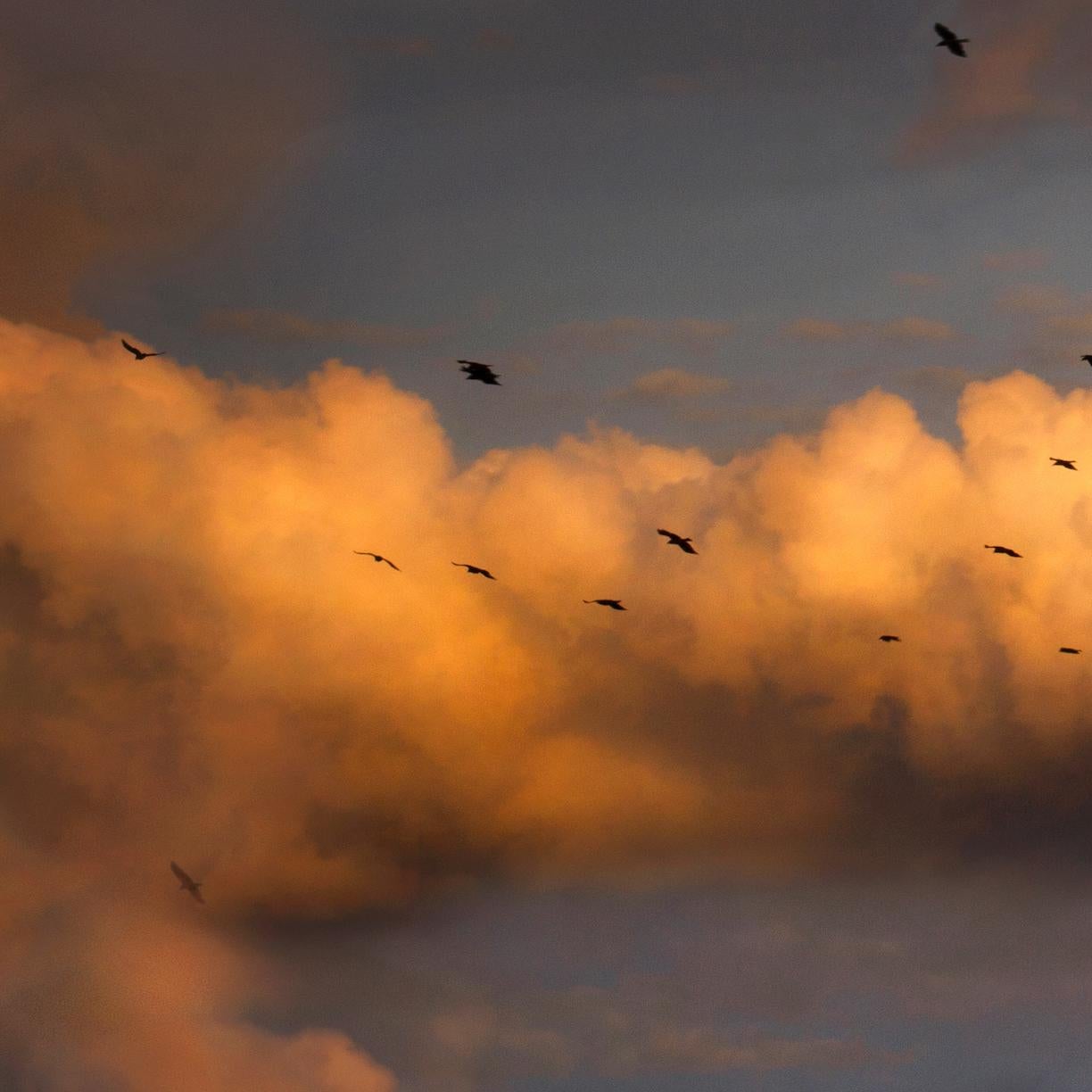 Sortir du chaos. Photographie couleur en vente 1