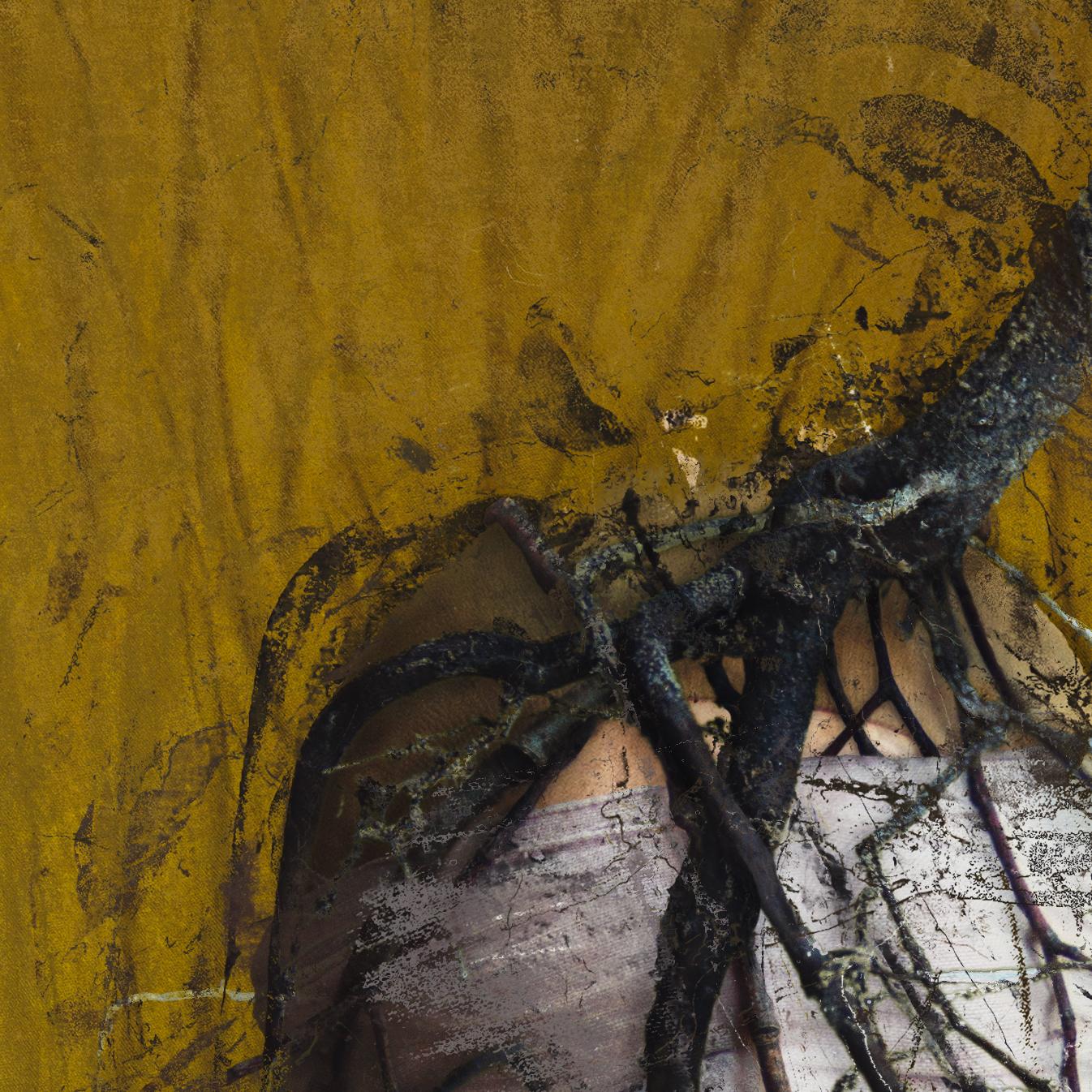 Roots of Recollection. From Farbtöne Series - Brown Figurative Photograph by Michaela Haider