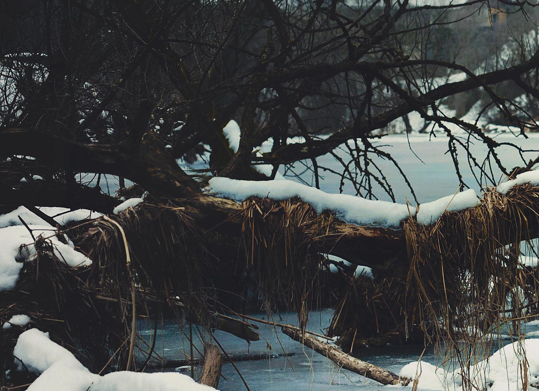 The fragility of all. Color photography - Contemporary Photograph by Michaela Haider