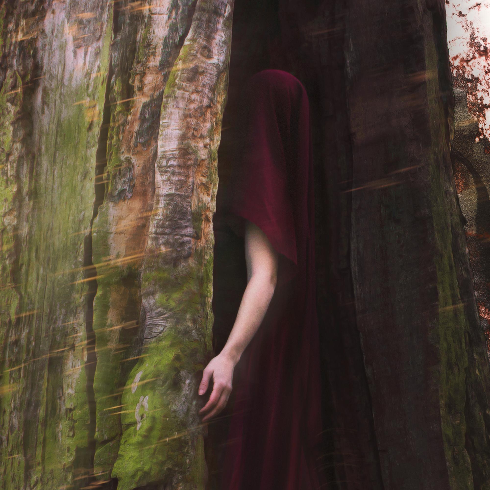 Il Cercatore. Fotografia figurativa - Photograph di Michaela Haider
