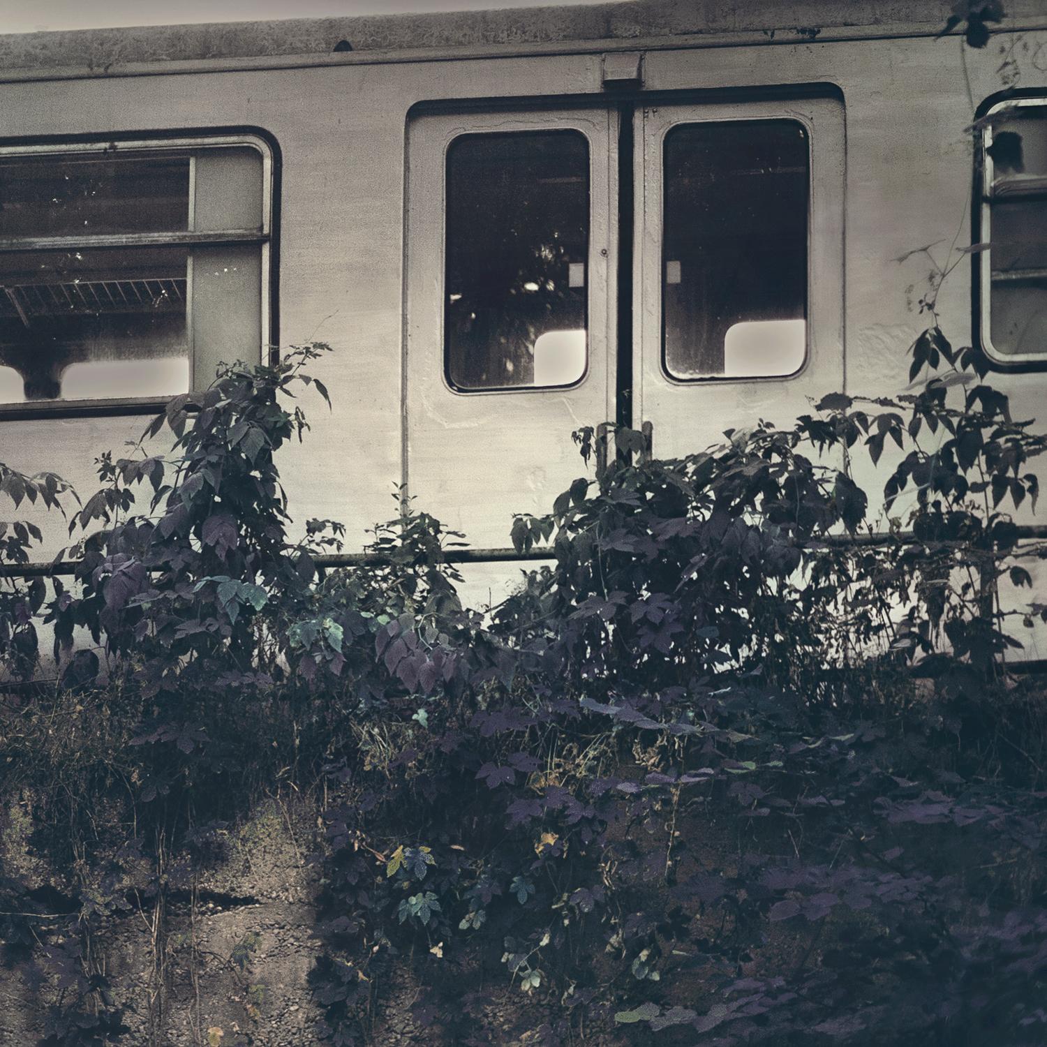 À partir d'éléments photographiques de base, tels que la figure ou le paysage, Haider transforme le décor en un monde surréaliste grâce à une forte post-production. Elle utilise des photographies qui, par essence, capturent quelque chose de réel,