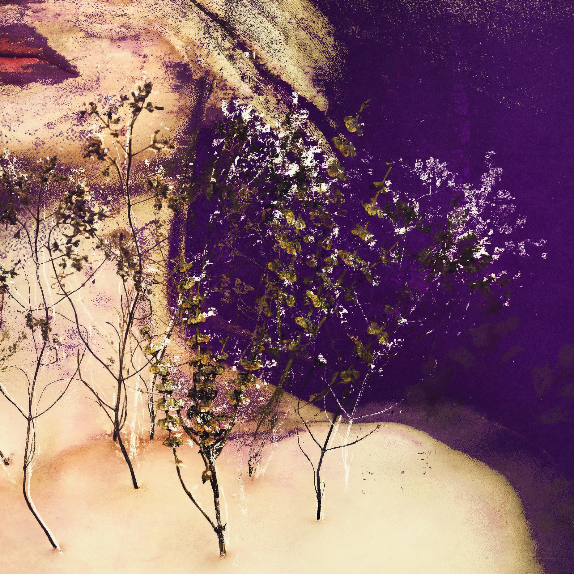 To Yield. From Farbtöne Series - Contemporary Photograph by Michaela Haider