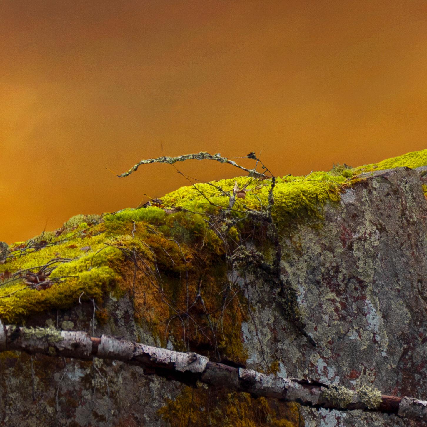 Vigil. Color photography - Photograph by Michaela Haider