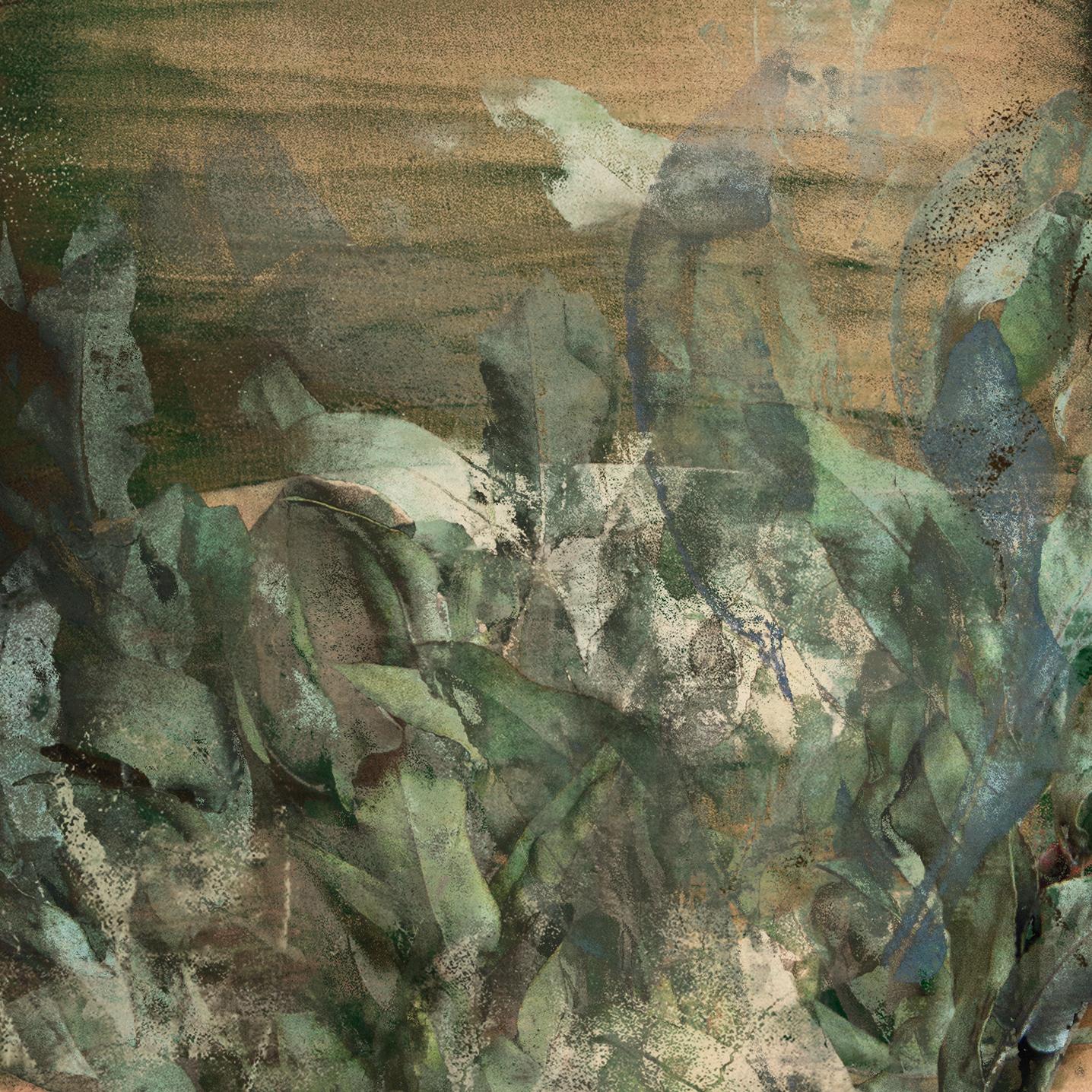 Woraus wir gemacht sind. Aus der Serie Farbtöne (Zeitgenössisch), Photograph, von Michaela Haider