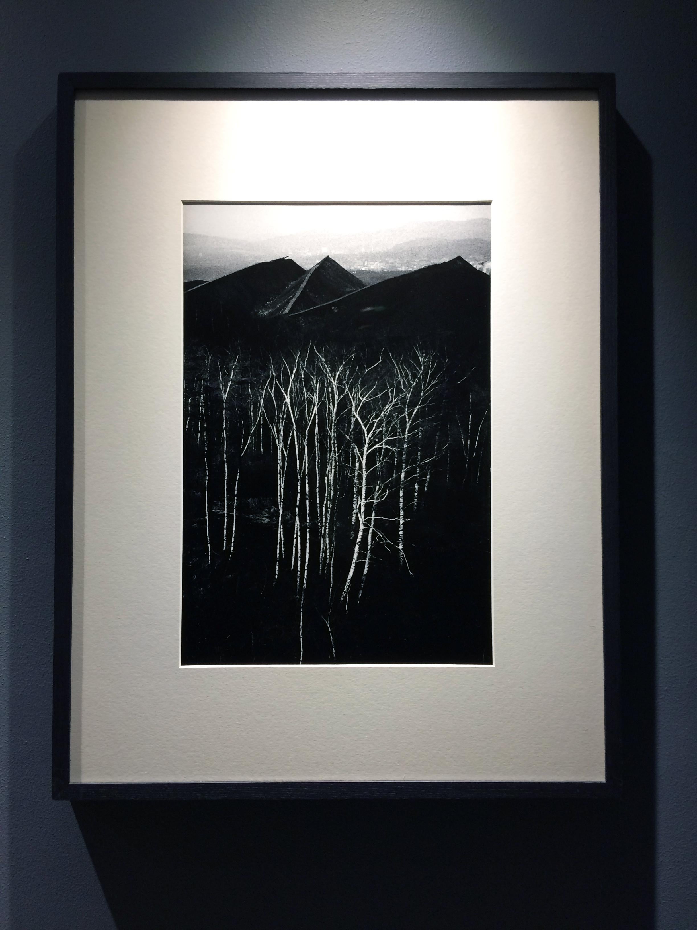 Forest at the bottom of the Slagheaps - Landscape - Silver Gelatin Print - Photograph by Michal Cala