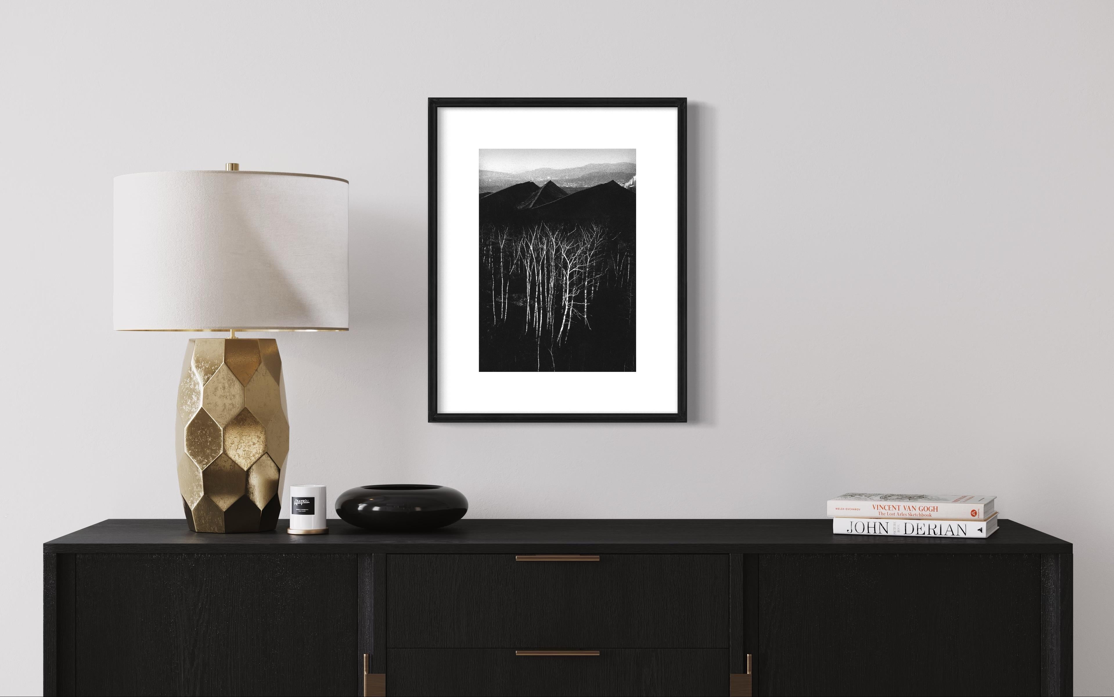 La foresta in fondo alle scorie - Paesaggio - Stampa alla gelatina d'argento - Photograph Contemporaneo di Michal Cala