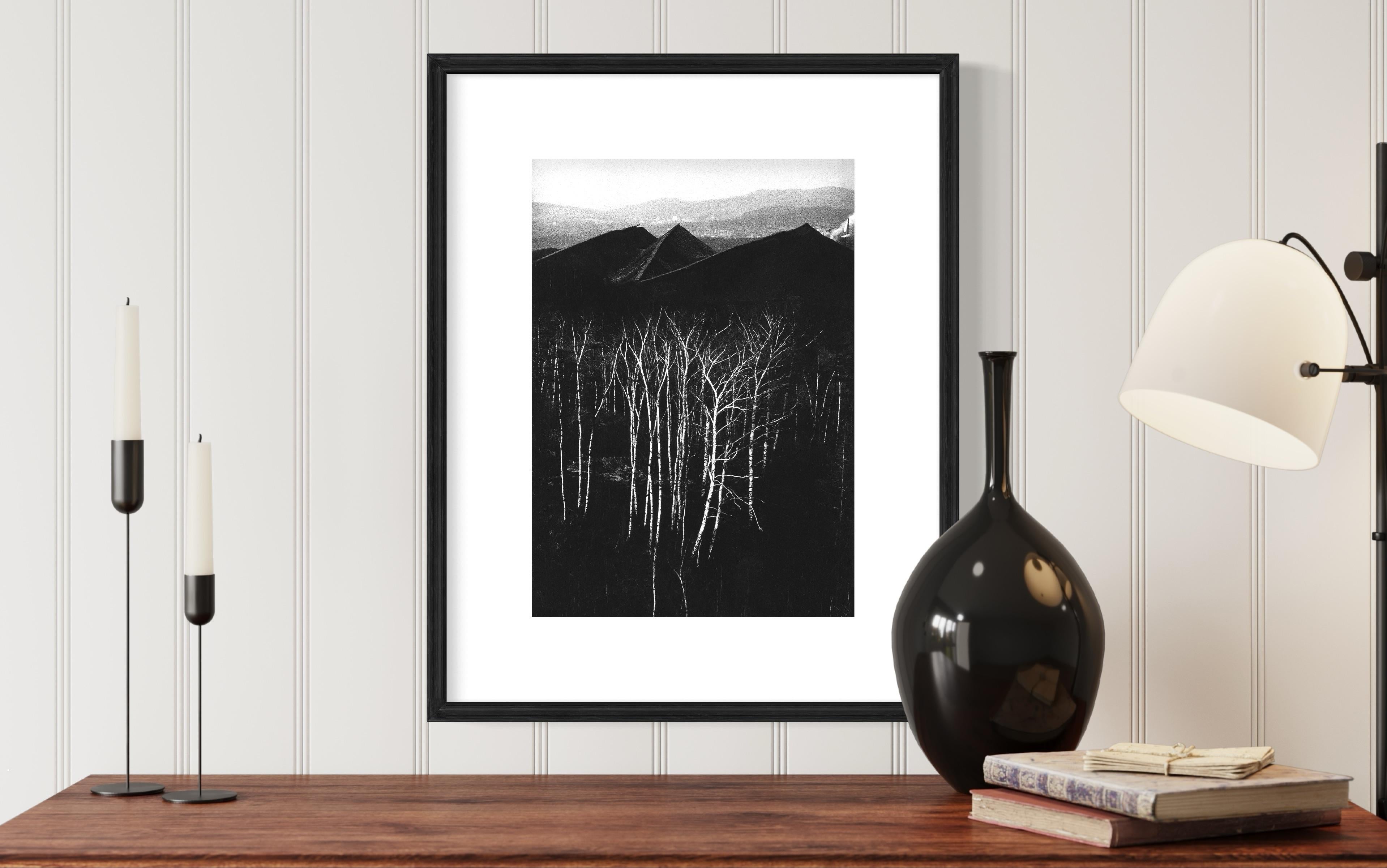 Forest at the bottom of the Slagheaps - Landscape - Silver Gelatin Print - Black Landscape Photograph by Michal Cala