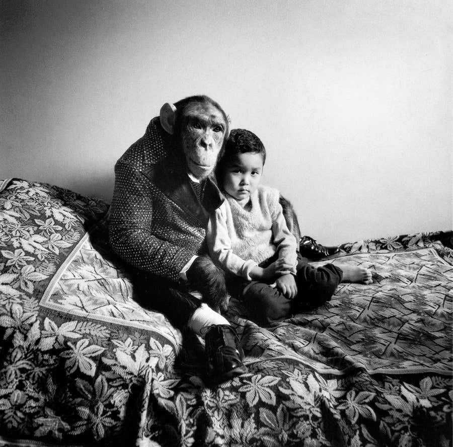 Mickey and Amir
