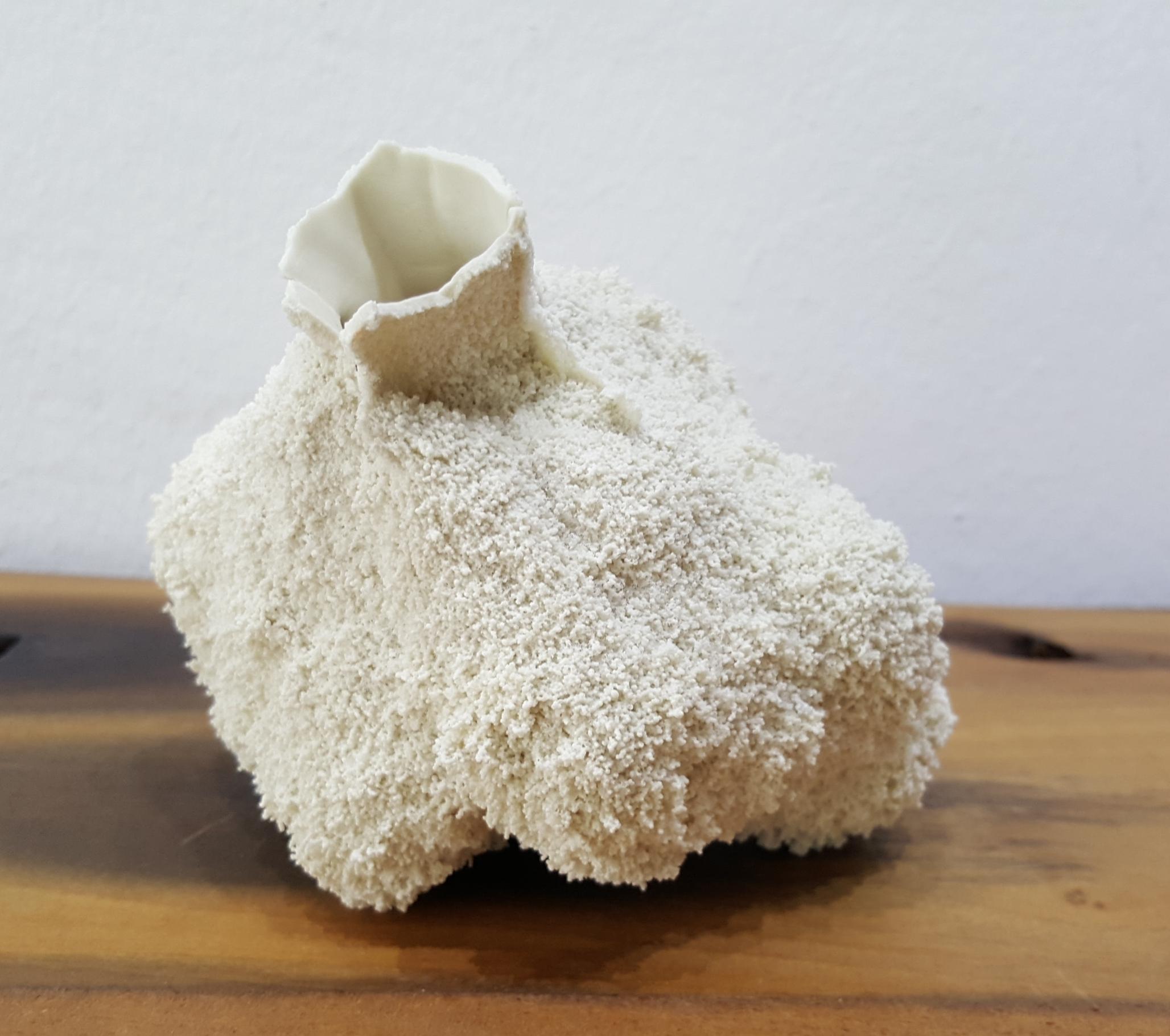 Michal Fargo Figurative Sculpture - White 23-porcelain, nature like, coral, free form