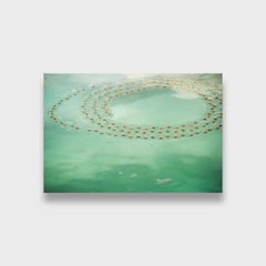 Close Up Abstract Nature Color Photographic Print, "Salp" 2015