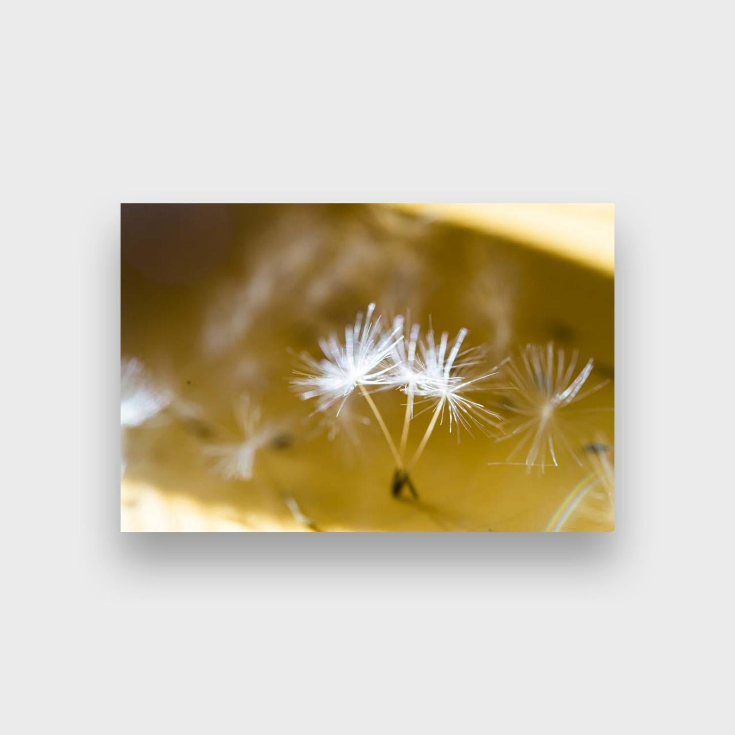 Close Up Nature Color Photographic Print, 