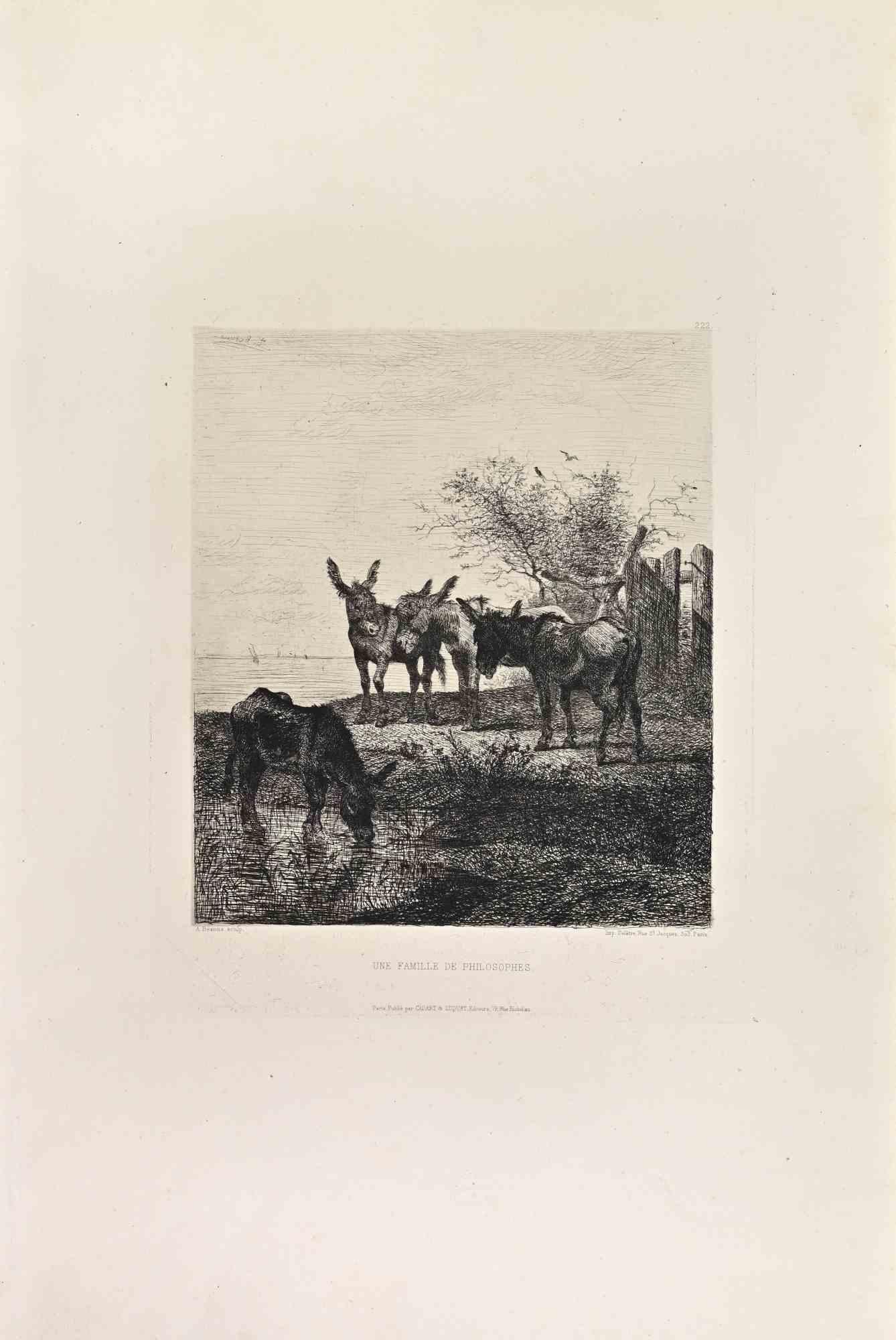 Une Famille de Philosophes is a black and White etching realized by Michel-Amédée Besnus in the 1860s. 

Titled in the lower.

Image size: 28x23.

Very good impression with wide margins and a very fresh inking.

Realized for the "Société des