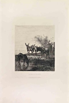 Une Famille de Philosophes - Gravure à l'eau-forte de Michel-Amédée Besnus - Années 1860