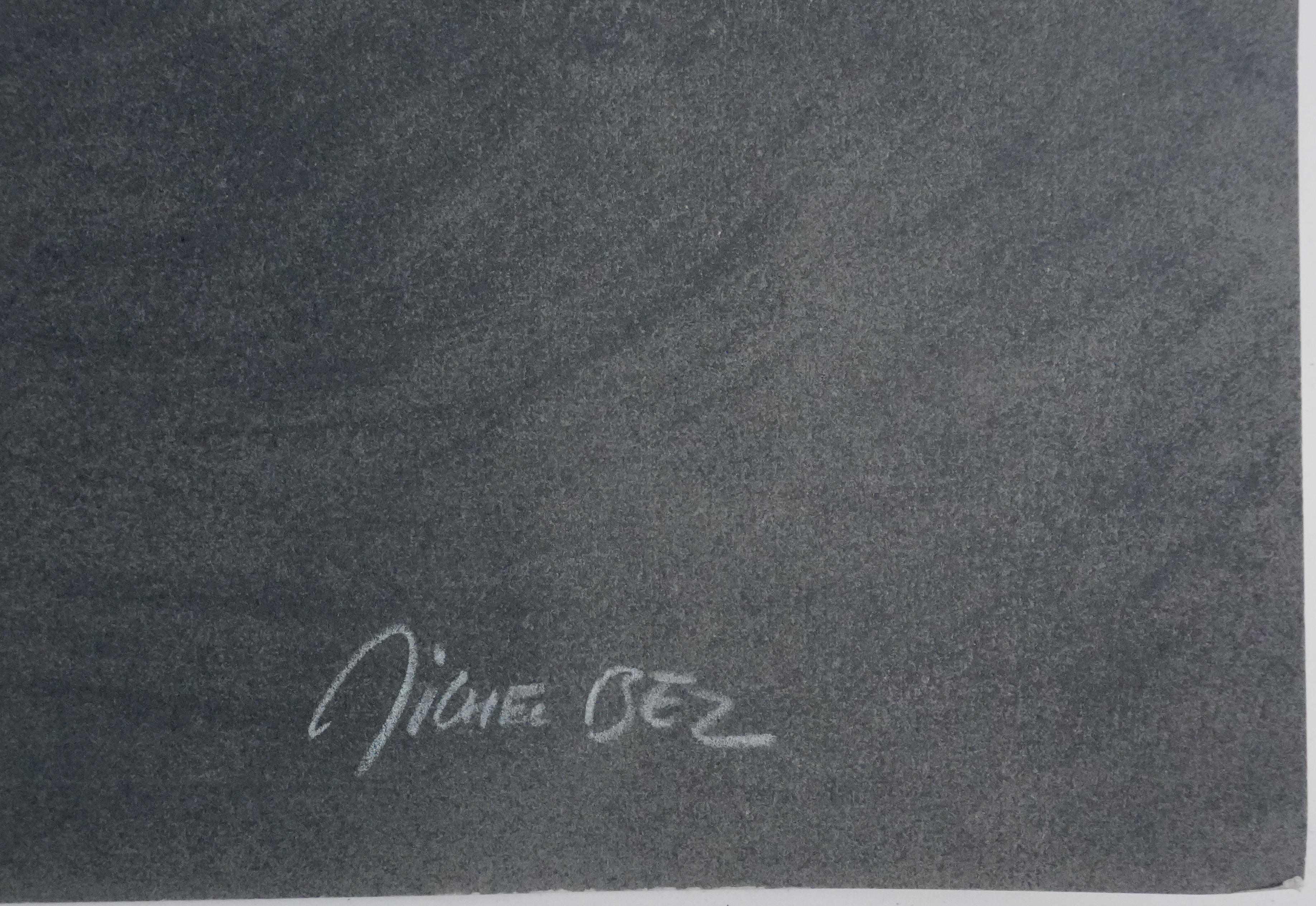 Pegasus - Lithograph Original Handsigned - Print by Michel Bez