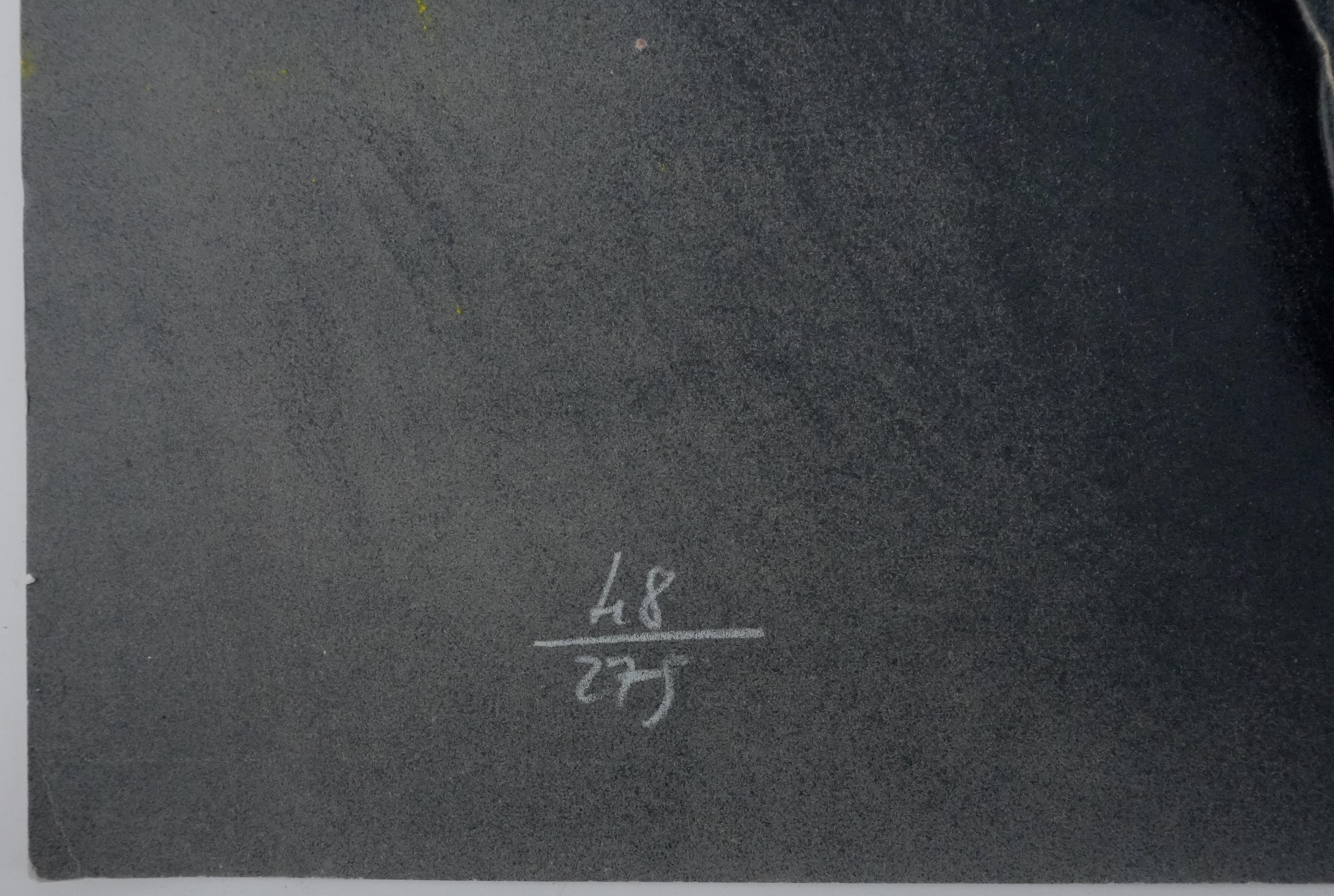 Pegasus - Lithograph Original Handsigned For Sale 2