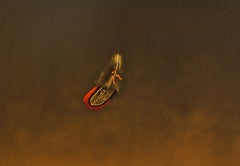 Ikarus, Surrealistische Lithographie von Michel Charpentier