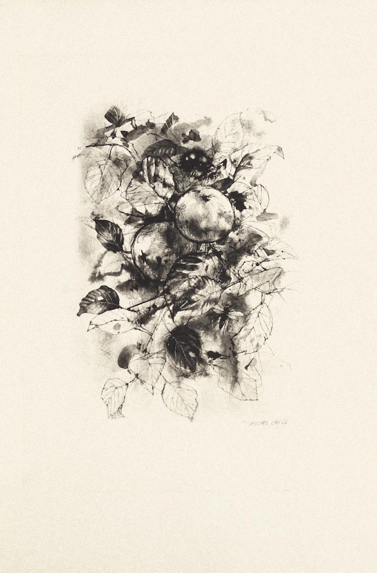 Fruit ist eine schwarz-weiße Radierung des französischen Künstlers Michel Ciry aus dem Jahr 1964.

Signiert und datiert unten rechts.

Maße des Blattes: 57 x 38 cm.

Unter guten Bedingungen.

Das Kunstwerk stellt ein Stillleben mit Obst dar. Das