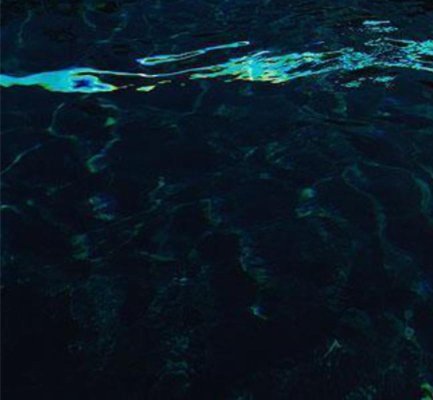 Nudo anonimo I - nudo che galleggia nell'acqua, fotografia artistica, 1999 in vendita 3
