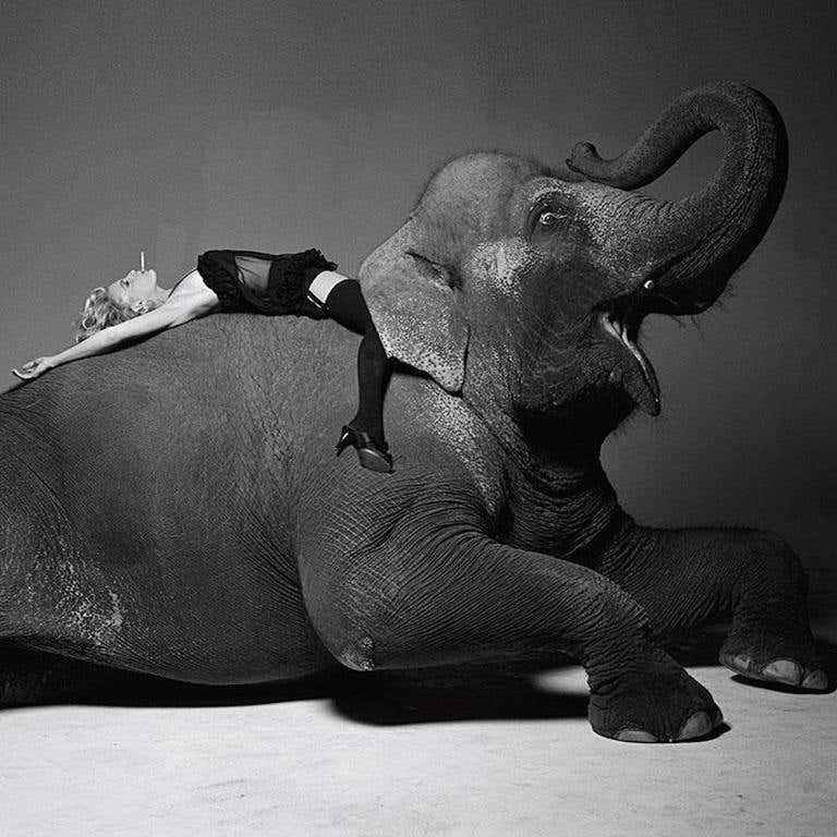 Daryl Hannah for L'Uomo Vogue - Limited Edition Fine Art Photography