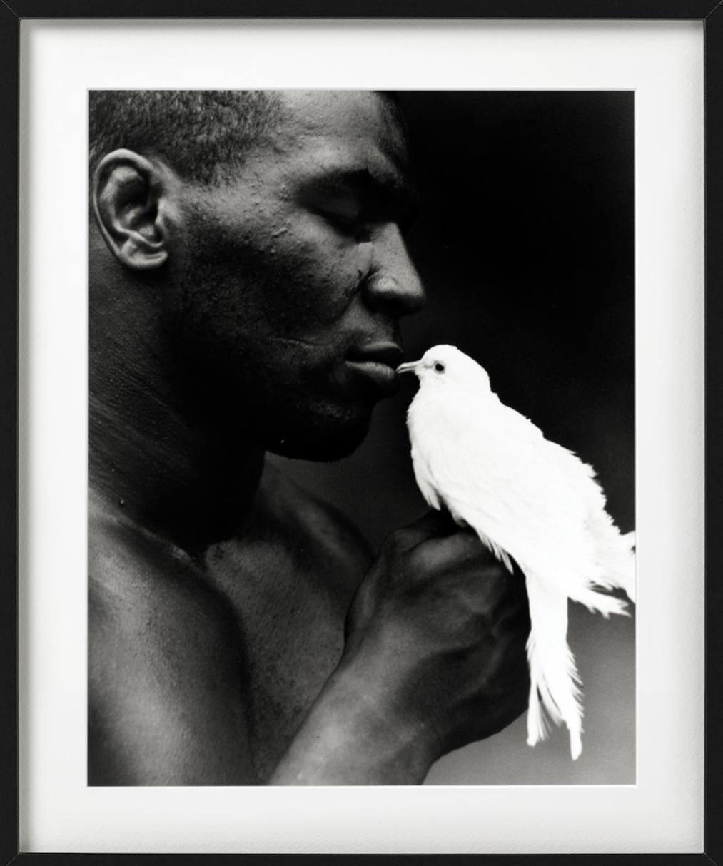 Mike Tyson with Dove - portrait of boxing legend, fine art photography, 1990 For Sale 3