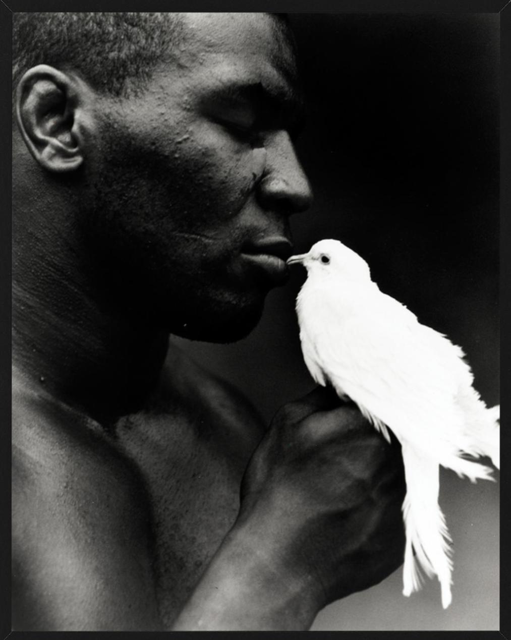 Mike Tyson with Dove - portrait of boxing legend, fine art photography, 1990 For Sale 4