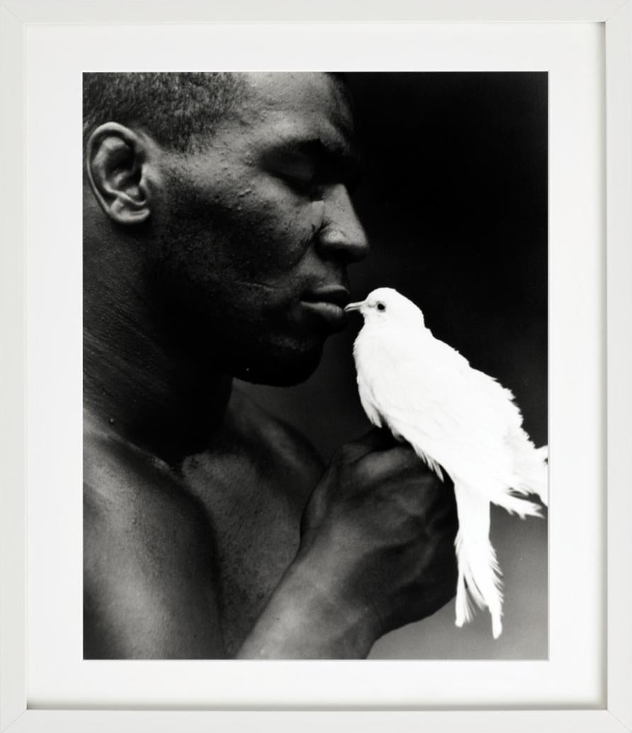 mike tyson birds